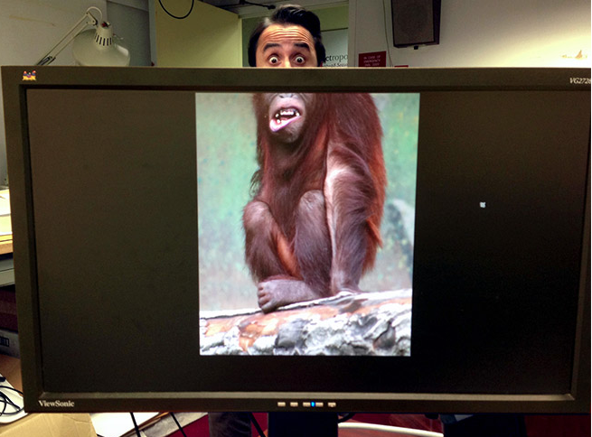 Kelakuan Gabut di kantor yang kocak dan bikin ngakak